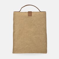 Paper Sack Lunch Cooler