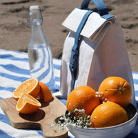 Paper Sack Lunch Cooler