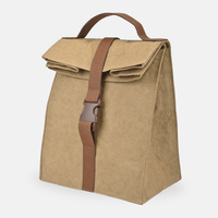 Paper Sack Lunch Cooler
